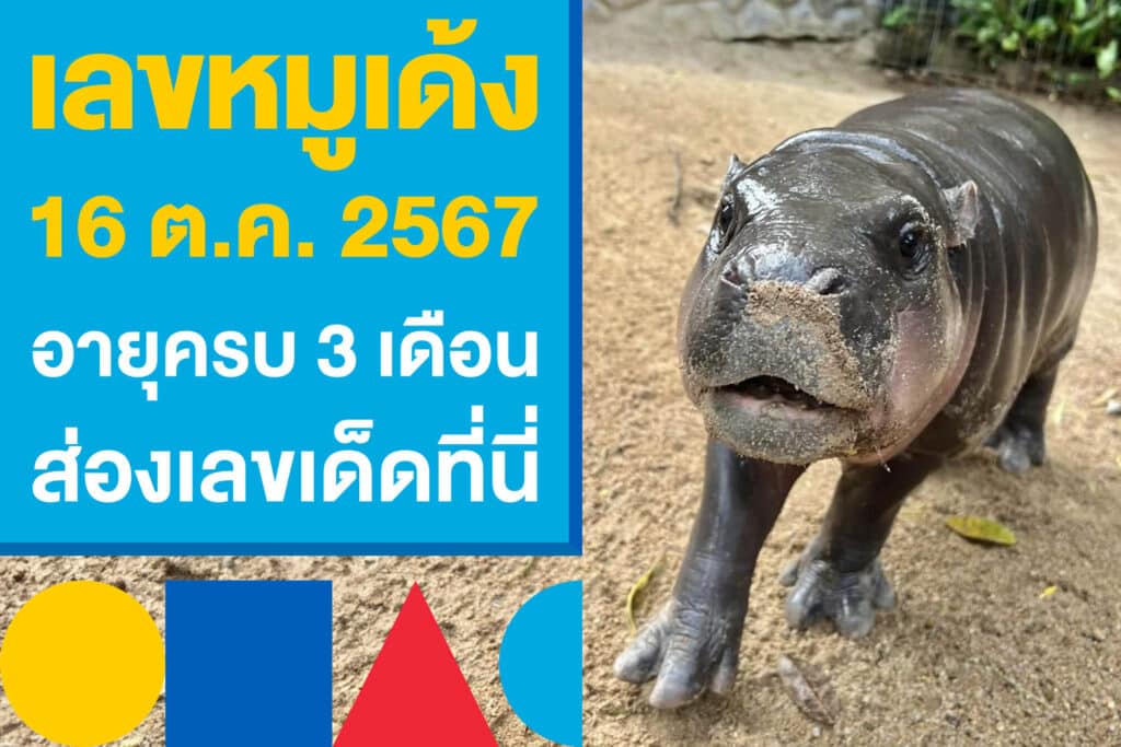 เลขหมูเด้ง 16 ต.ค. 2567 งวดนี้ อายุครบ 3 เดือน ส่องเลขเด็ดที่นี่