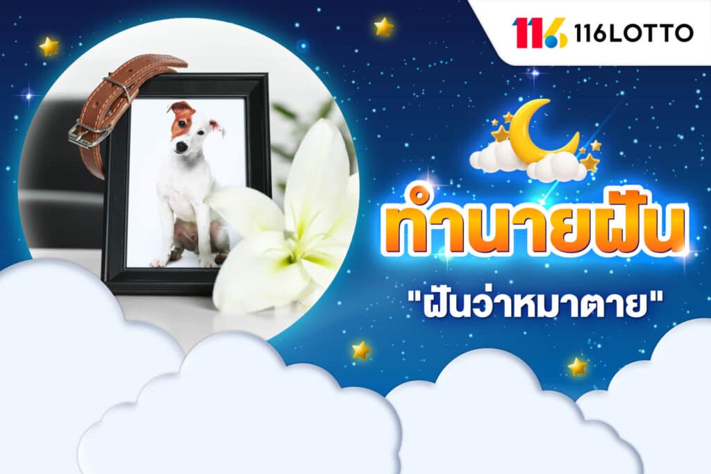 ฝันว่าหมาตาย เห็นสัตว์เลี้ยงตาย ทำนายความฝัน พร้อมตีเลขเด็ดแม่น ๆ