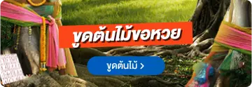 lotto tree link banner